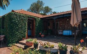 Casa Palmera